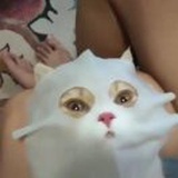江凌泫