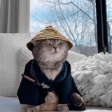 Henry火