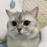 -清和月-