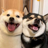 取名好烦