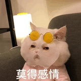 浅浅时光精