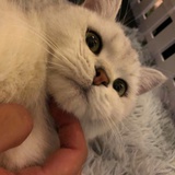 不知归期
