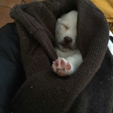 人生的智慧