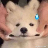 不知名豆友