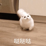 芒果桃