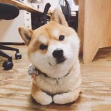 多读两本书