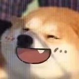 一颗momo