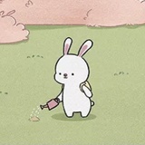 🐰