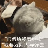 嫔妾做不到啊