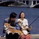 静菇