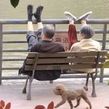 秒针