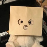 momomomo