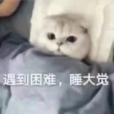 无情磕药🐔