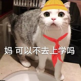 Qin