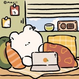 盒子猫