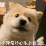 h.