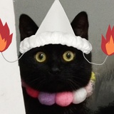 玄七