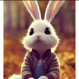 兔兔很可爱 🐰