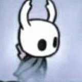 Hollow knight