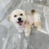是小乖啊