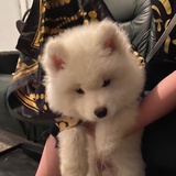 。。。。。