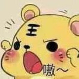 仓鼠小露宝