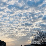 随风自在