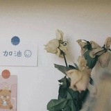 此去又经年