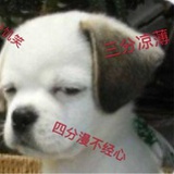 无无无