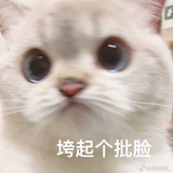江湖美女
