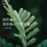 难得糊涂