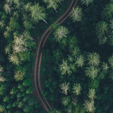 云水禅心