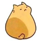 爱吃瓜的蛋黄