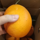 看小说看剧而已