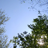 Erin伊伊