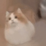 冬日暖阳