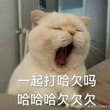 悬崖边的小波妞