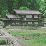 崽崽