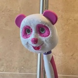 洁柔