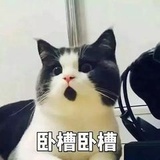 吃瓜狐狐
