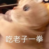 别踹我屁股！