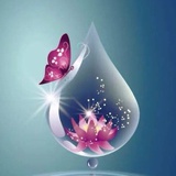 清酒染花
