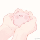 安知温凉