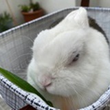 想把书看完