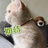 冬天来了