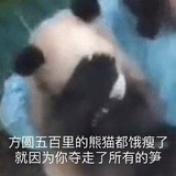 泪如雨下