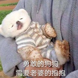电光食人鱼