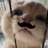 好未来