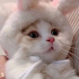 来点橙汁吗