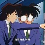 温柔的猫
